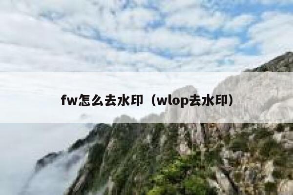 fw怎么去水印（wlop去水印）