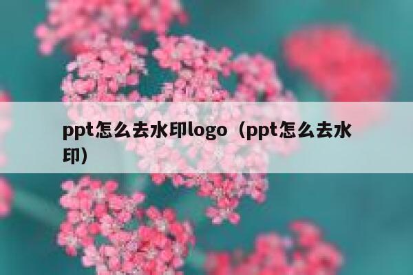 ppt怎么去水印logo（ppt怎么去水印）