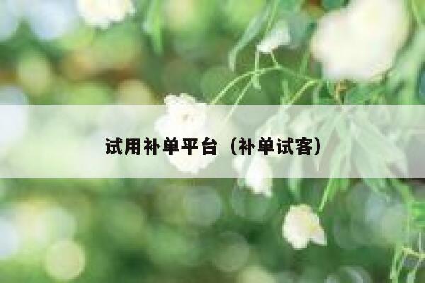 试用补单平台（补单试客）