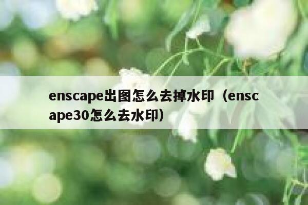 enscape出图怎么去掉水印（enscape30怎么去水印）