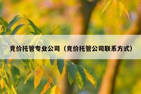 竞价托管专业公司（竞价托管公司联系方式）