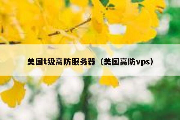 美国t级高防服务器（美国高防vps）