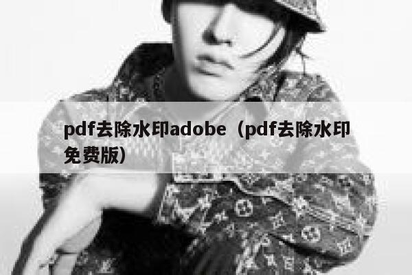 pdf去除水印adobe（pdf去除水印免费版）