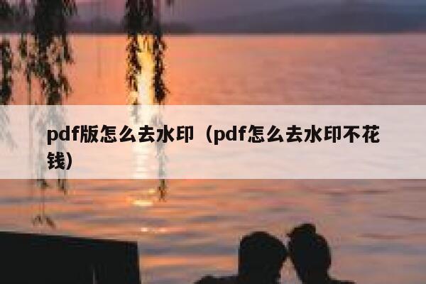 pdf版怎么去水印（pdf怎么去水印不花钱）