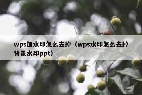 wps加水印怎么去掉（wps水印怎么去掉背景水印ppt）