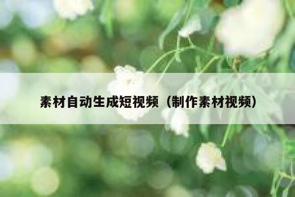 素材自动生成短视频（制作素材视频）