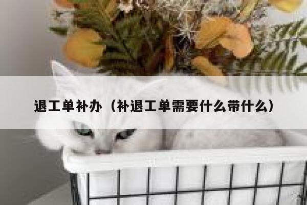 退工单补办（补退工单需要什么带什么）