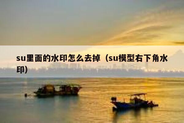 su里面的水印怎么去掉（su模型右下角水印）