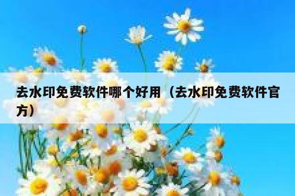 去水印免费软件哪个好用（去水印免费软件官方）