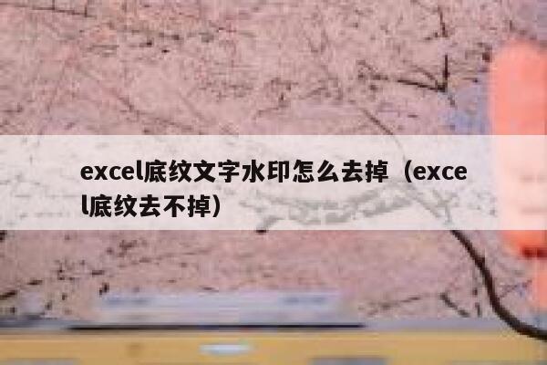 excel底纹文字水印怎么去掉（excel底纹去不掉）