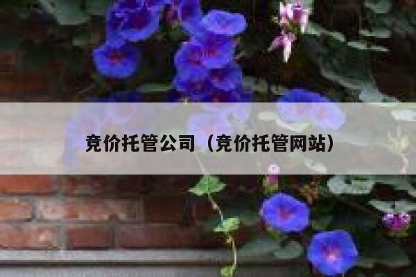 竞价托管公司（竞价托管网站）