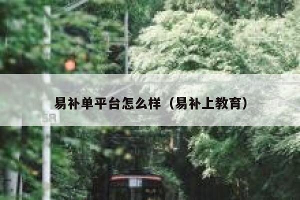 易补单平台怎么样（易补上教育）