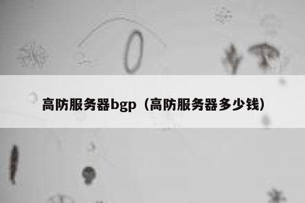 高防服务器bgp（高防服务器多少钱）