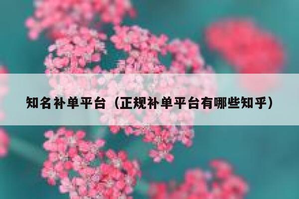 知名补单平台（正规补单平台有哪些知乎）