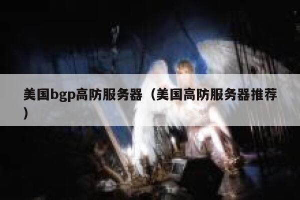 美国bgp高防服务器（美国高防服务器推荐）