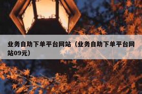 业务自助下单平台网站（业务自助下单平台网站09元）