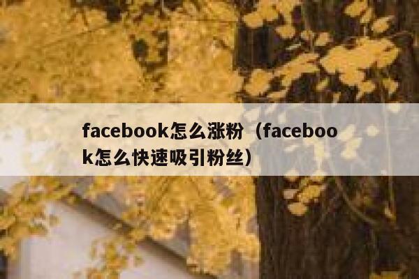 facebook怎么涨粉（facebook怎么快速吸引粉丝）