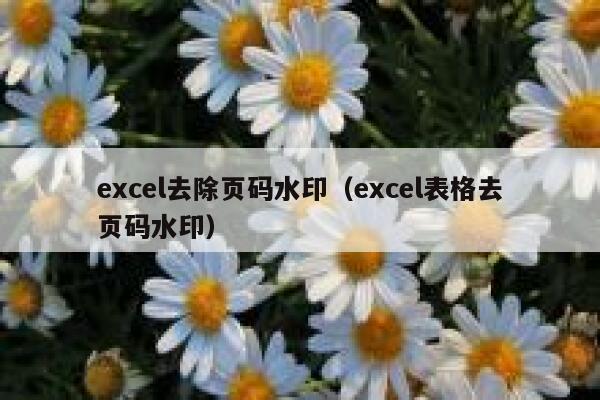 excel去除页码水印（excel表格去页码水印）