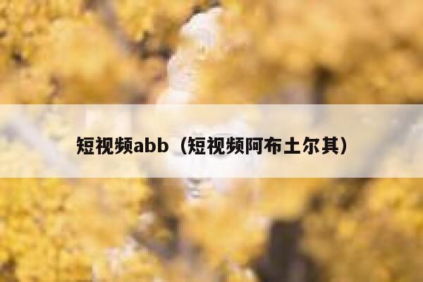 短视频abb（短视频阿布土尔其）