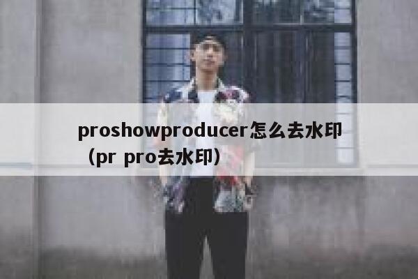 proshowproducer怎么去水印（pr pro去水印）