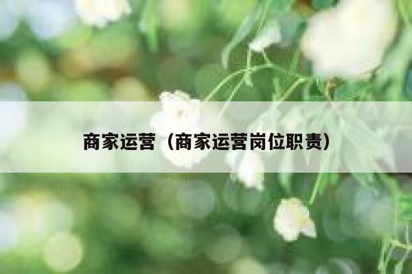 商家运营（商家运营岗位职责）