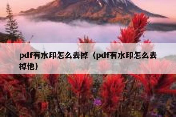 pdf有水印怎么去掉（pdf有水印怎么去掉他）