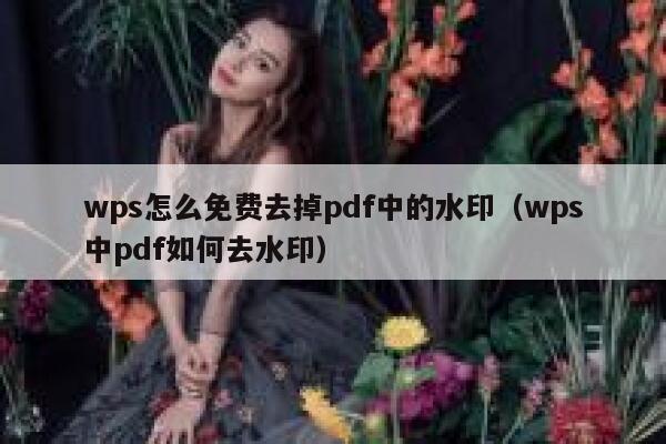 wps怎么免费去掉pdf中的水印（wps中pdf如何去水印）