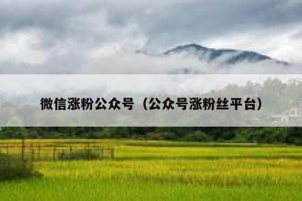 微信涨粉公众号（公众号涨粉丝平台）