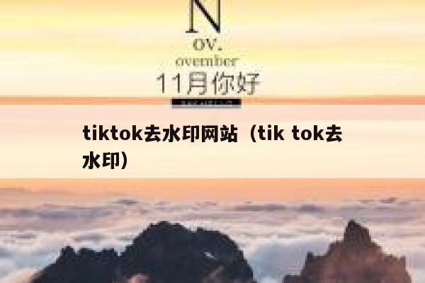 tiktok去水印网站（tik tok去水印）