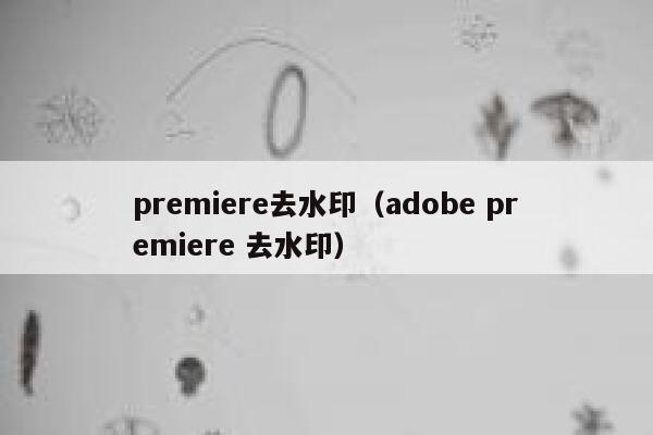 premiere去水印（adobe premiere 去水印）