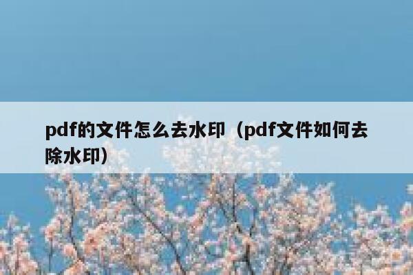 pdf的文件怎么去水印（pdf文件如何去除水印）