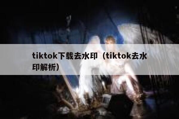 tiktok下载去水印（tiktok去水印解析）