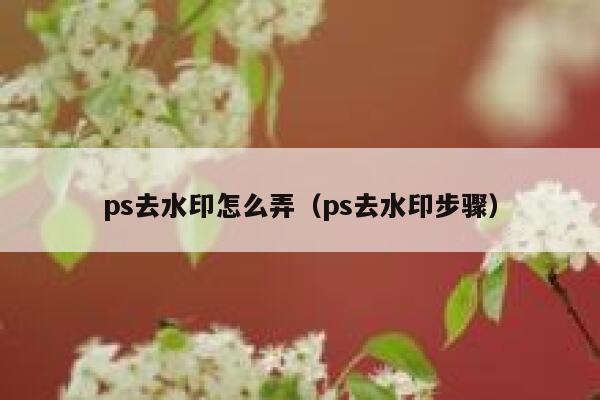 ps去水印怎么弄（ps去水印步骤）