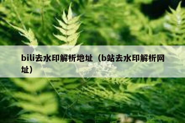 bili去水印解析地址（b站去水印解析网址）