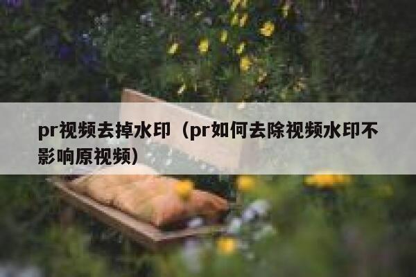 pr视频去掉水印（pr如何去除视频水印不影响原视频）