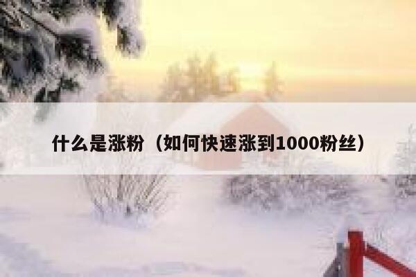 什么是涨粉（如何快速涨到1000粉丝）