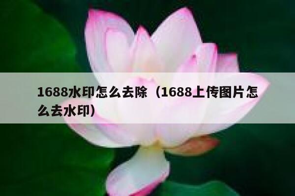 1688水印怎么去除（1688上传图片怎么去水印）