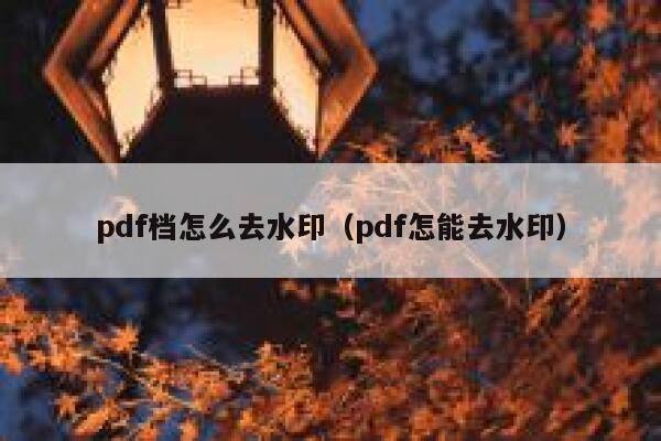 pdf档怎么去水印（pdf怎能去水印）