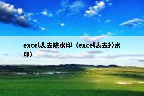 excel表去除水印（excel表去掉水印）