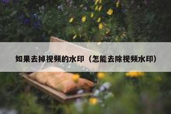 如果去掉视频的水印（怎能去除视频水印）