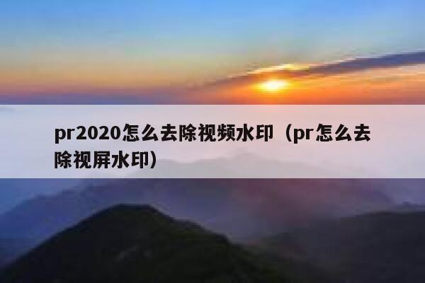 pr2020怎么去除视频水印（pr怎么去除视屏水印）