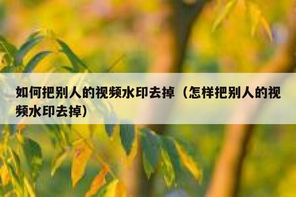 如何把别人的视频水印去掉（怎样把别人的视频水印去掉）