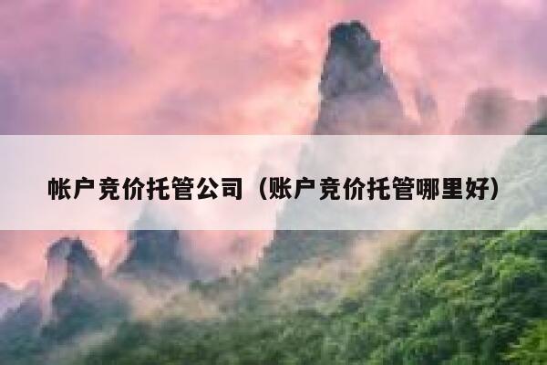 帐户竞价托管公司（账户竞价托管哪里好）