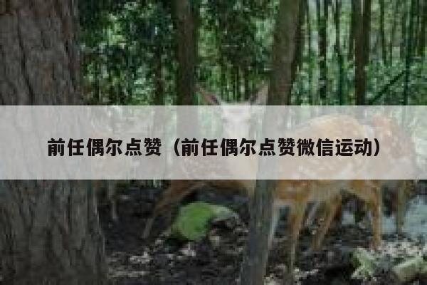 前任偶尔点赞（前任偶尔点赞微信运动）