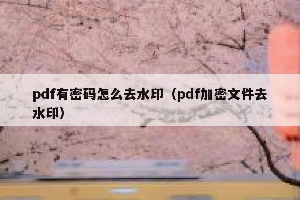 pdf有密码怎么去水印（pdf加密文件去水印）