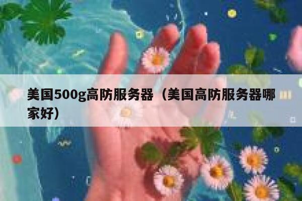 美国500g高防服务器（美国高防服务器哪家好）