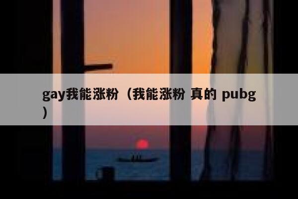 gay我能涨粉（我能涨粉 真的 pubg）