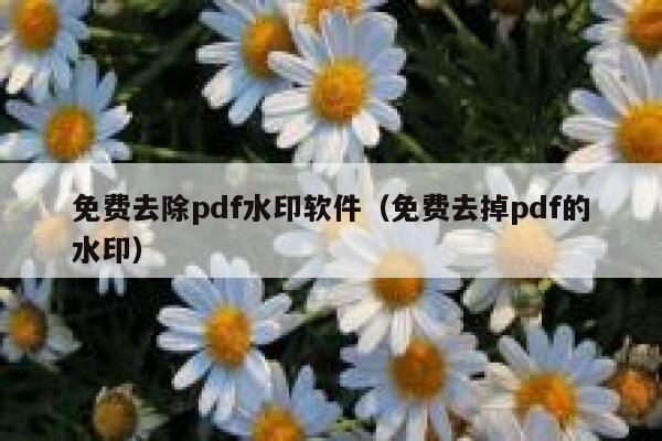 免费去除pdf水印软件（免费去掉pdf的水印）