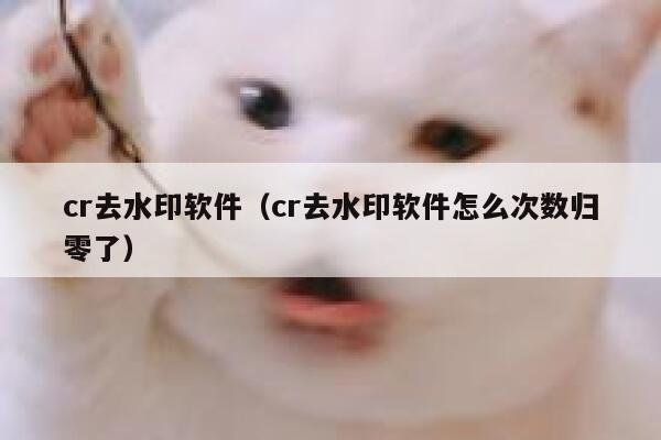 cr去水印软件（cr去水印软件怎么次数归零了）