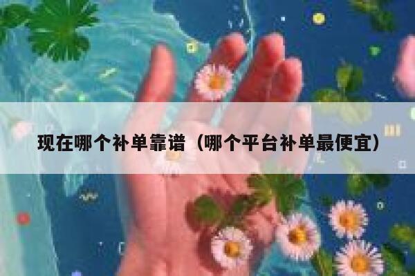 现在哪个补单靠谱（哪个平台补单最便宜）